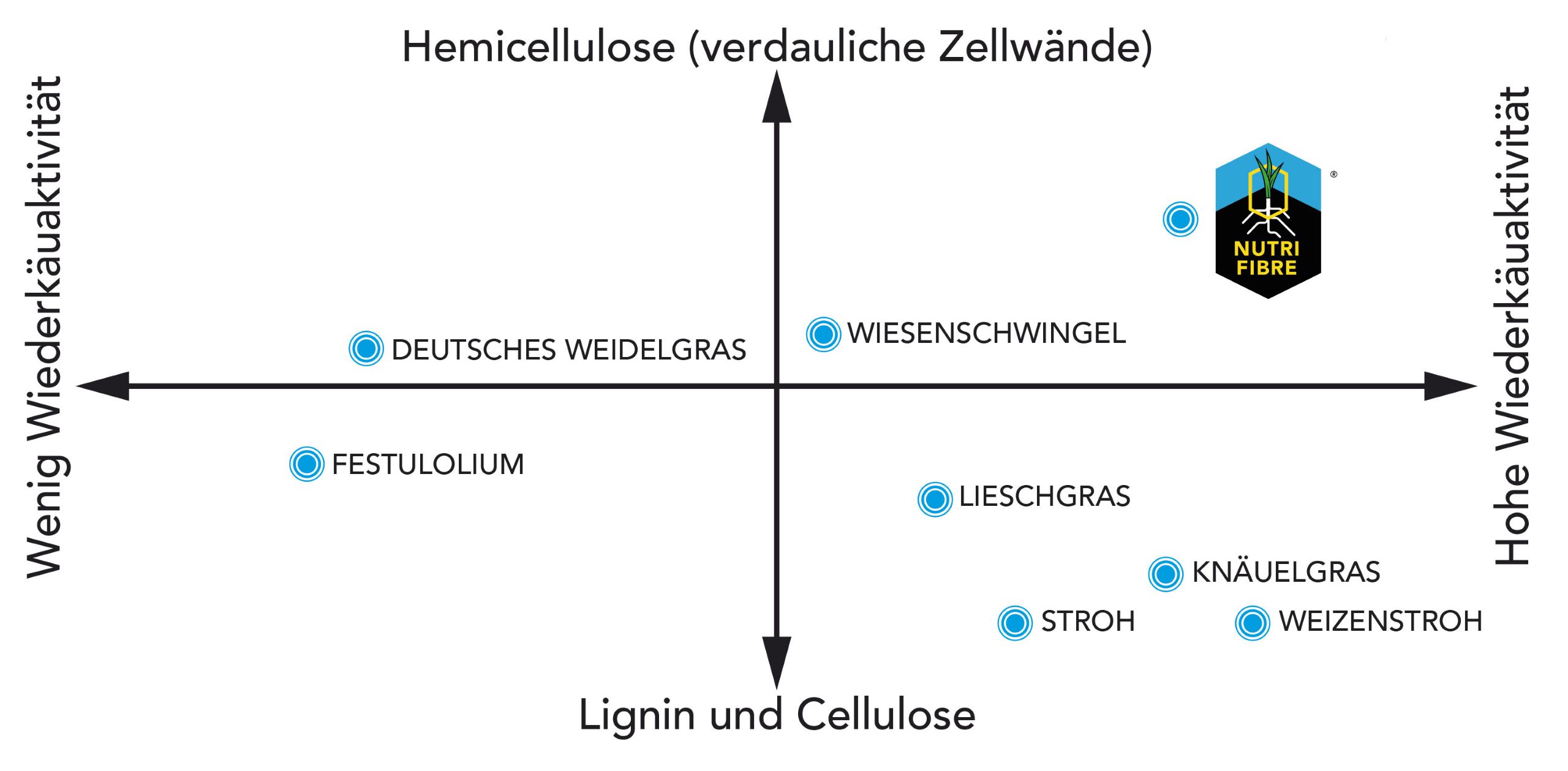 Zellwande_ Gesunde Kuhe.jpg